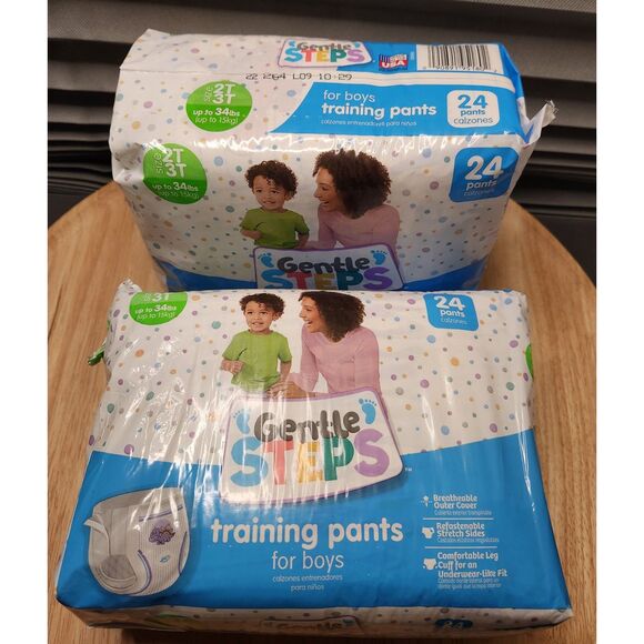 Toddler Boys Bundle – Dinosaur Backpack & Gentle Steps Training Pants (2T–3T) - Picture 4 of 7